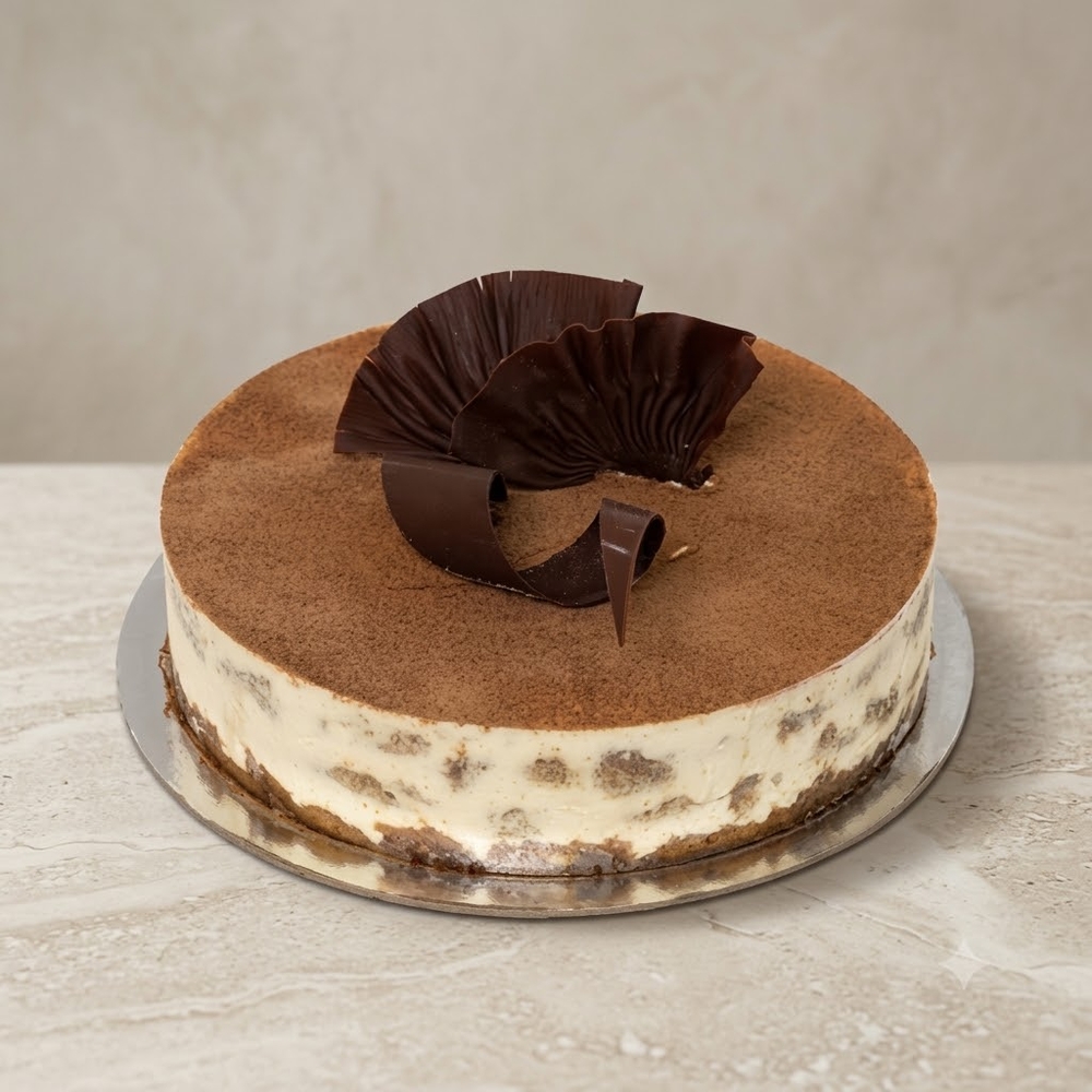 Special Tiramisu Cake