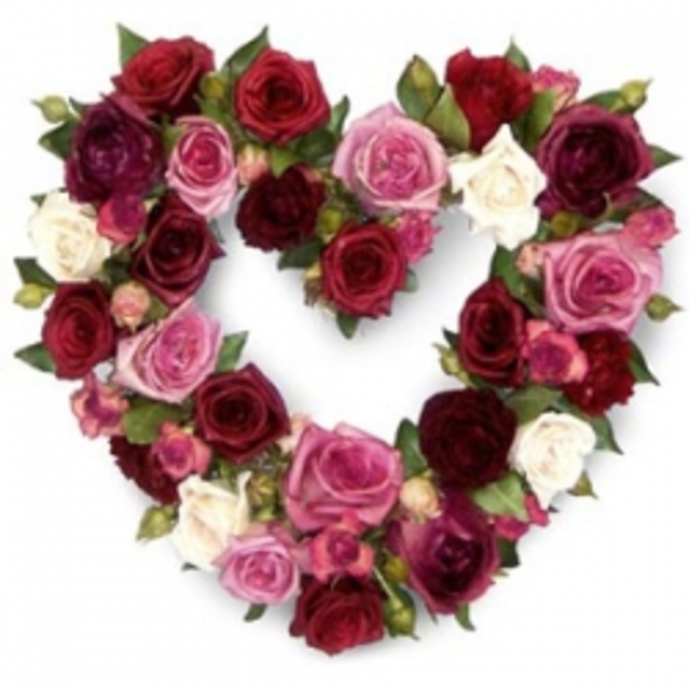 Heart Shape Roses