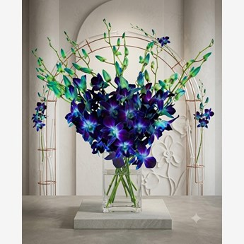 20 Blue Orchids in Vase