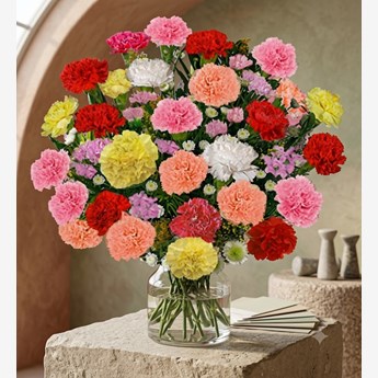30 Mixed Color Carnation Bouquet