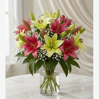 Pink and Yellow Lilies with Baby’s Breath in Vase
