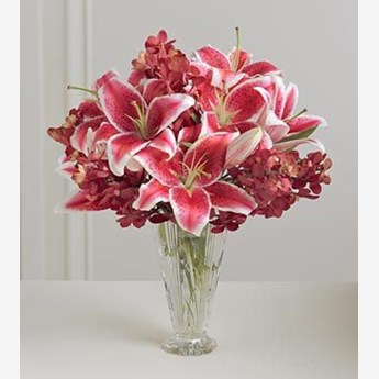 Lily Gift Collection