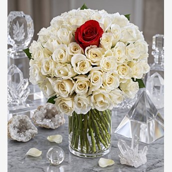 40 White Roses with Red Rose in a Vase