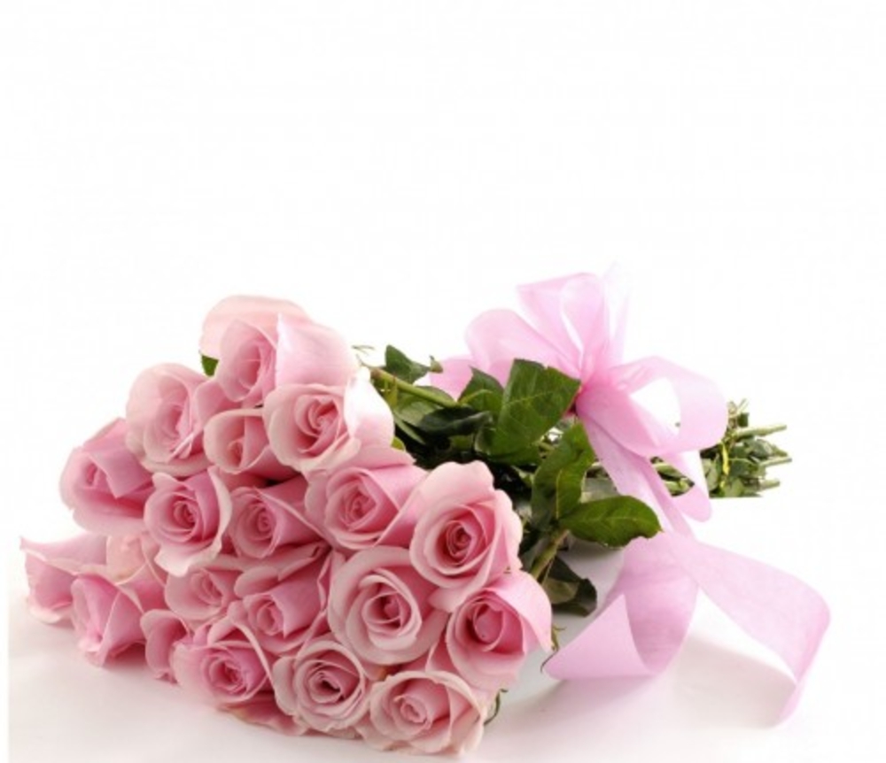 Soft pink Titanic Roses