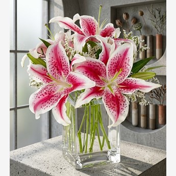Pink Oriental Lilies in Vase 