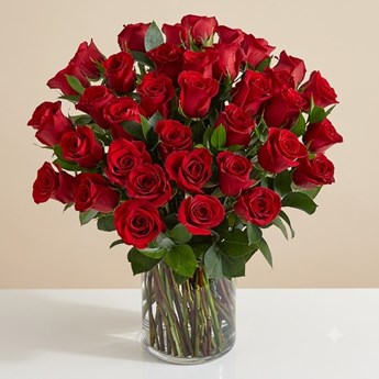 Ruby Red Roses 