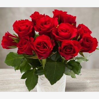 Fresh Red Roses Bouquet