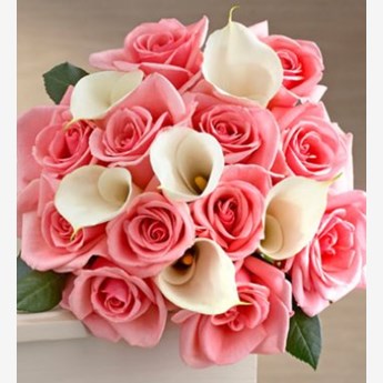 Soft blushes