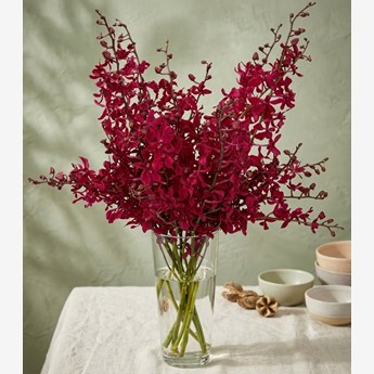 20 Red Orchids Flowers Vase