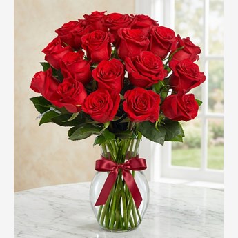 18 Red Roses in a Vase