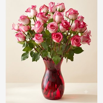 Fresh Pink Roses in a Vase