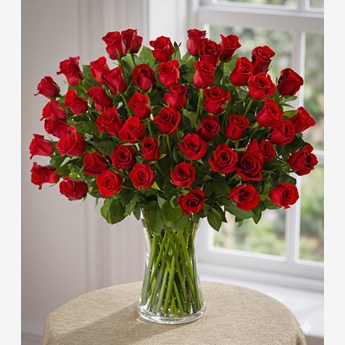 Timeless Roses