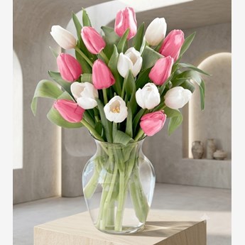 Pink and White Tulip Bouquet in Vase