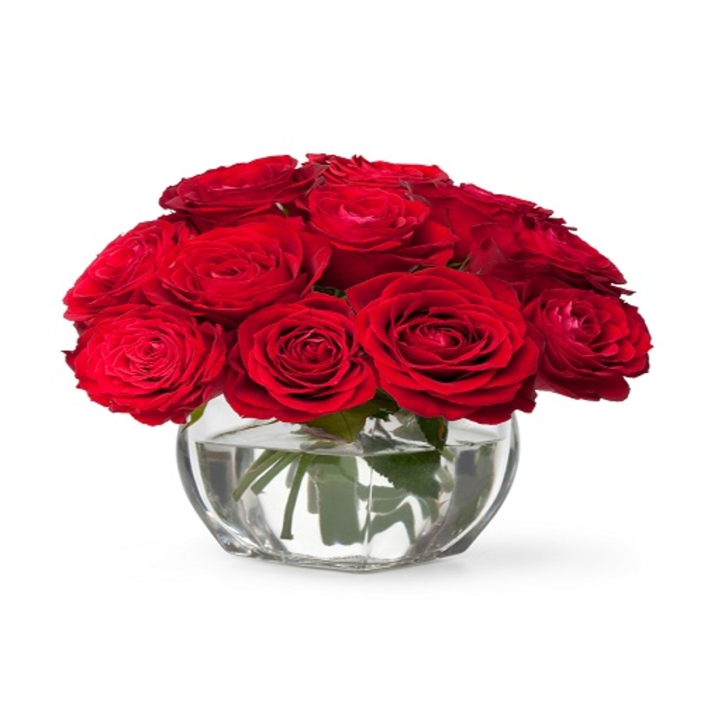 Beautiful close-up red rose