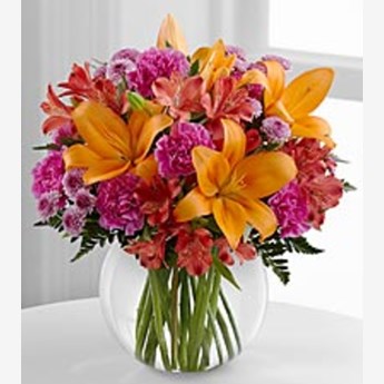 The Light Of My Life