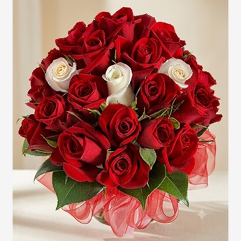 Red and White Roses Bunch