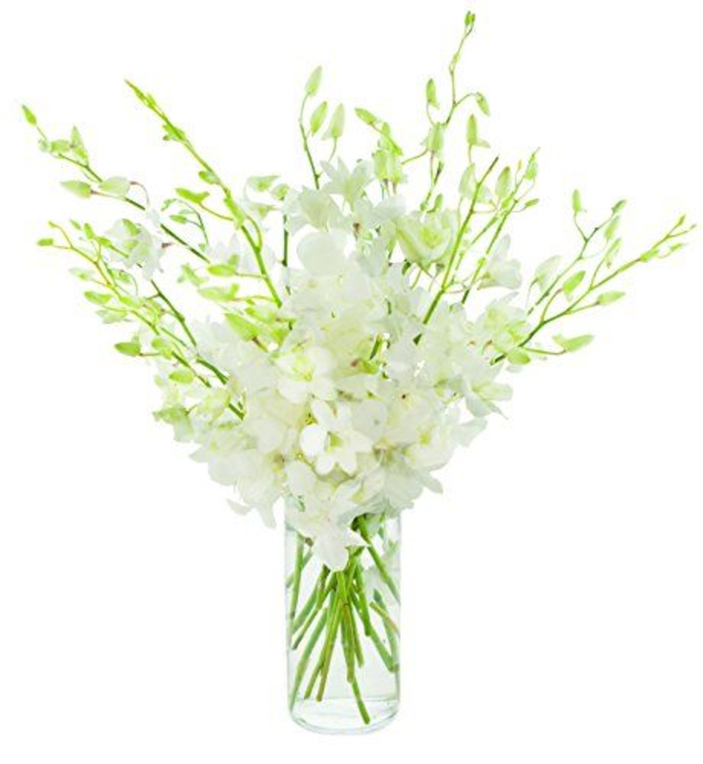 Vase with 20 White Orchids