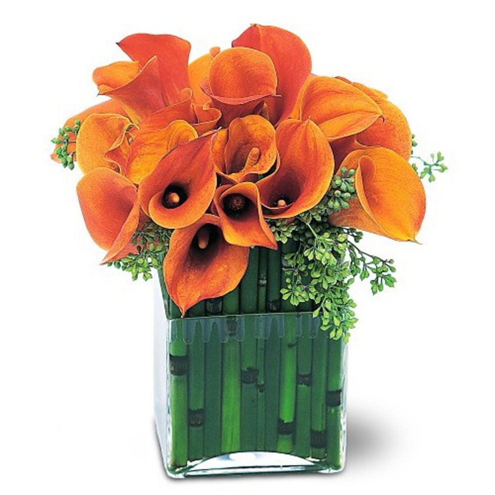 Vase with 20 Stems Orange Cala Lilies.
