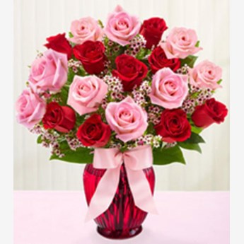 Shades of Pink and Red