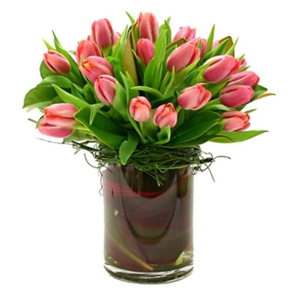 20 Tulips