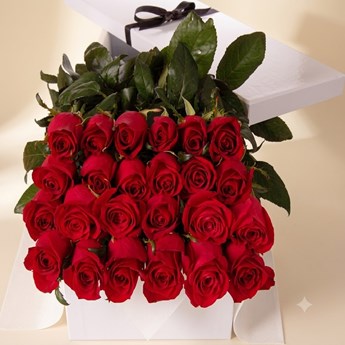 24 Red Roses Bouquet