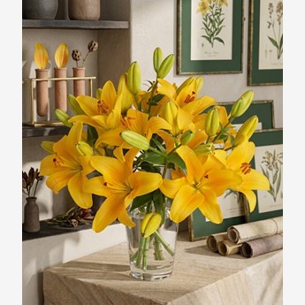 Yellow Asiatic Lily Bouquet in Vase