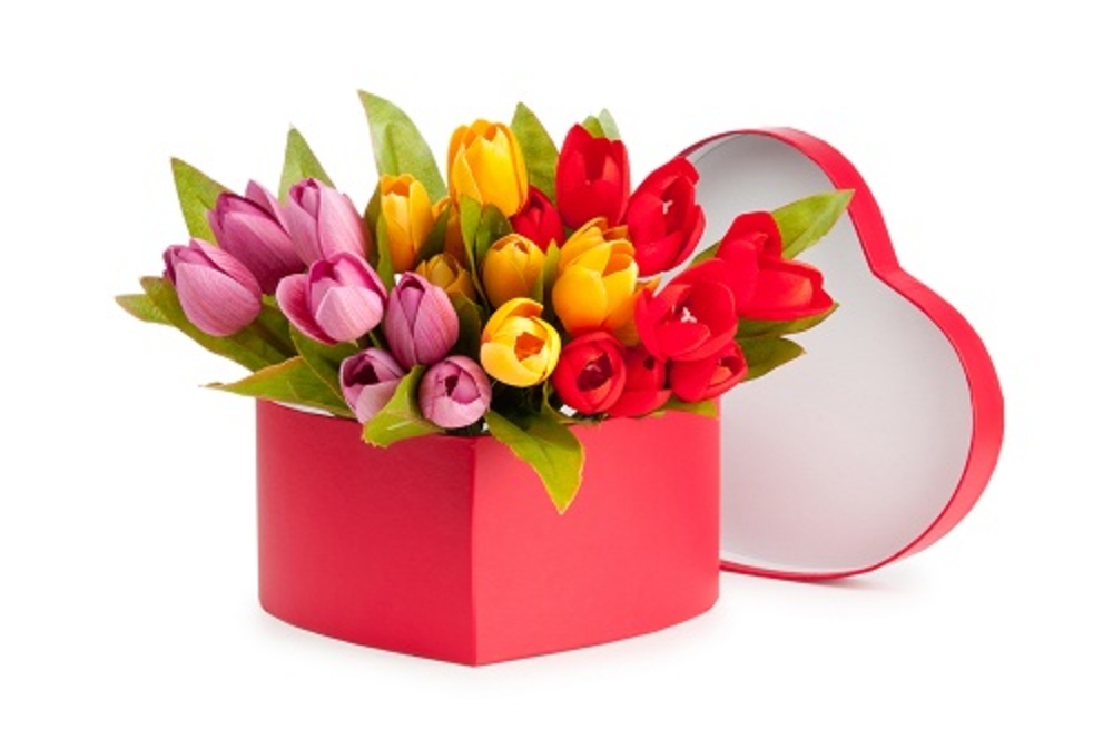 Tulips in heart box