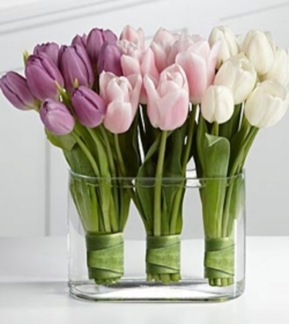 30 Tulips in a Vase