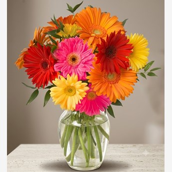 Mixed Gerbera Vase