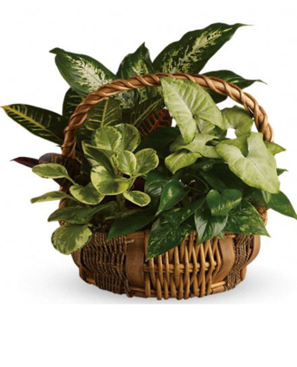 Emerald garden basket