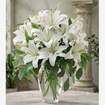 5 Stems of White Oriental Lilies in Vase