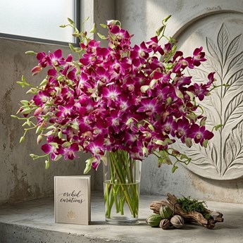 Purple Orchids 