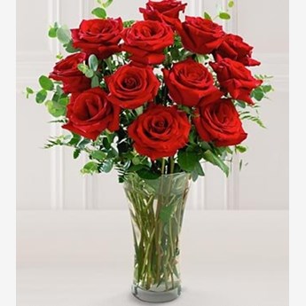 Red Rose