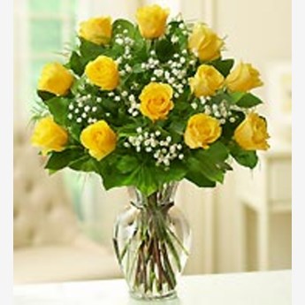 Premium Long Stemmed Yellow roses