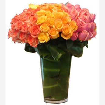 Vase with 100 Stems of Orange , Yellow & Pink Roses
