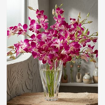 12 Purple Orchids in a Vase