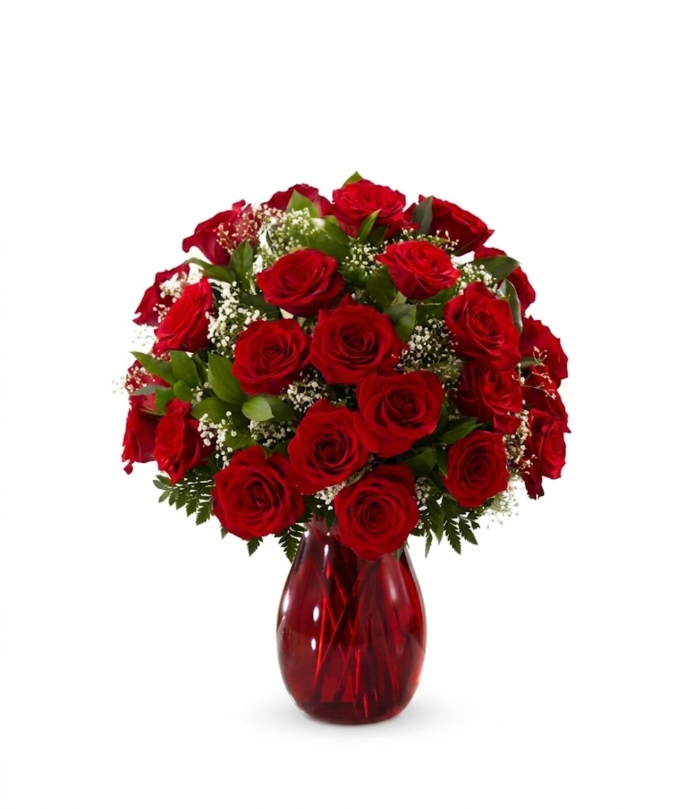 24 Red Roses and White Gypsophila