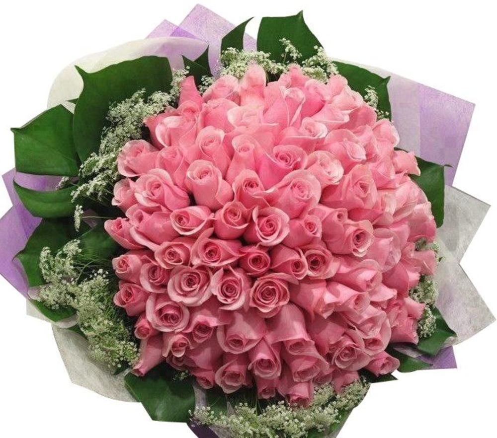 60 Pink Roses