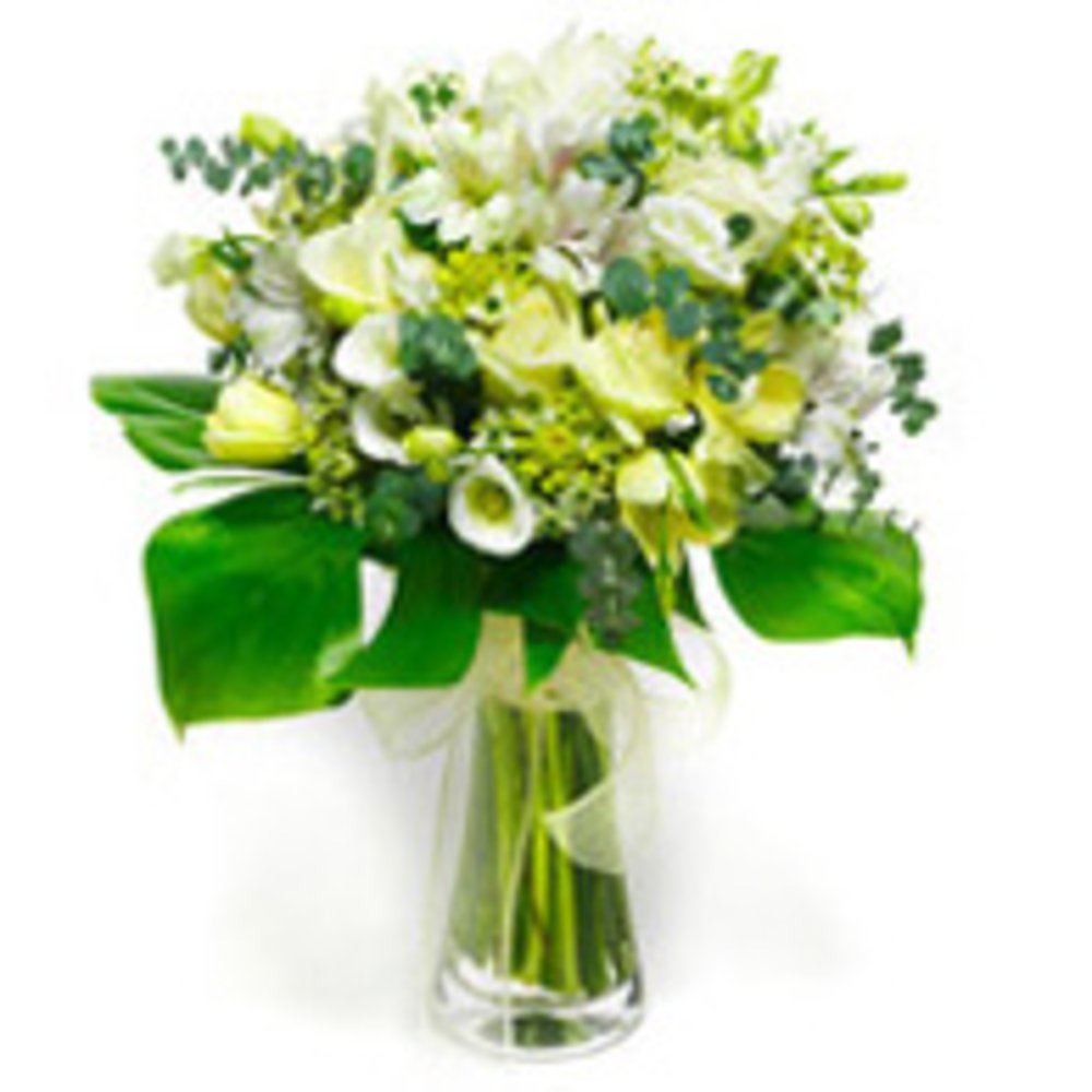 Vase with 10 White Cala Lilies , 10 White Roses & 5 White Chrysanthemums