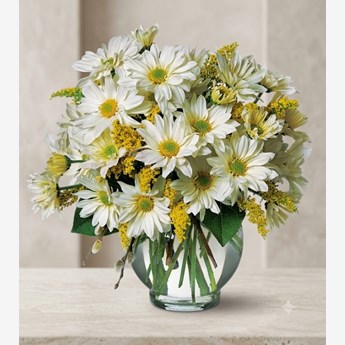 White Daisy Vase Arrangement